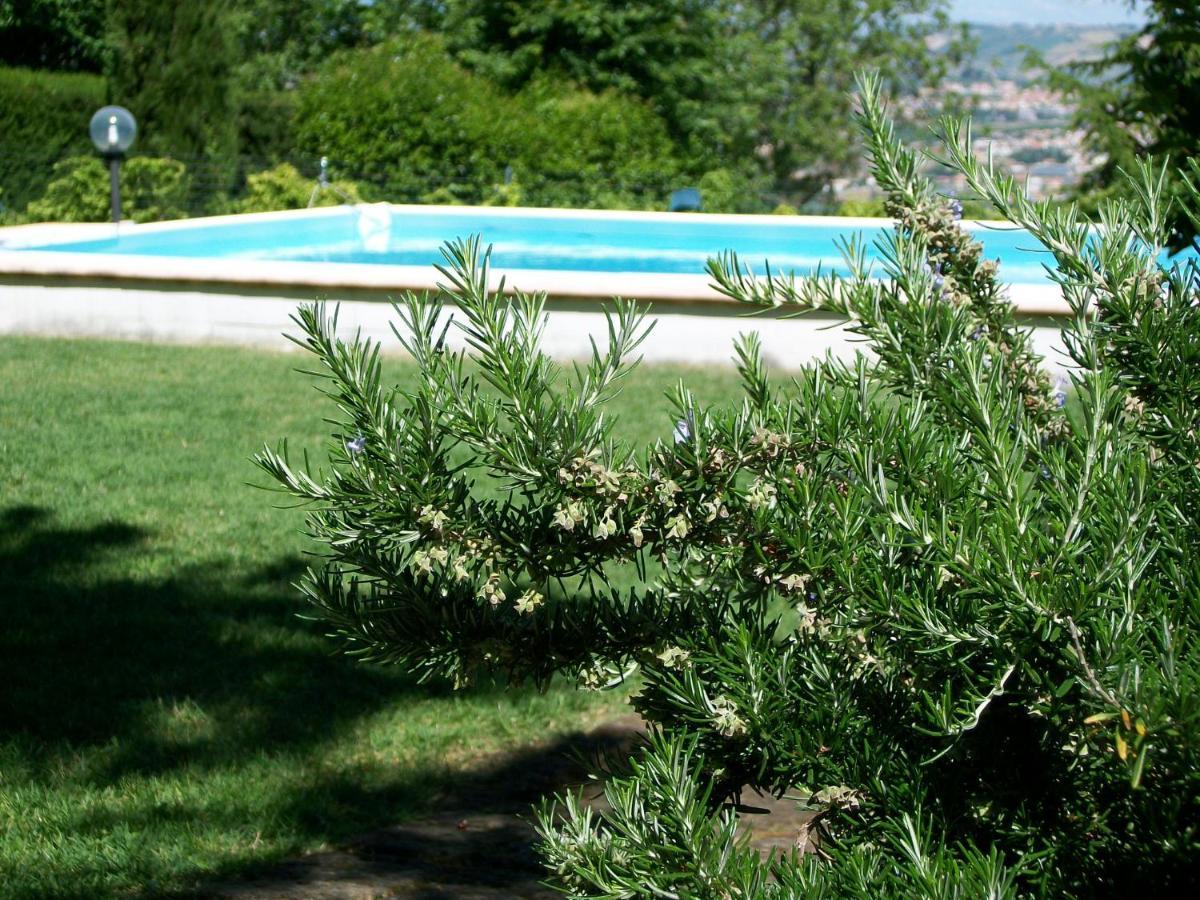 B&B Luna Blu Montesilvano Marina Exterior foto